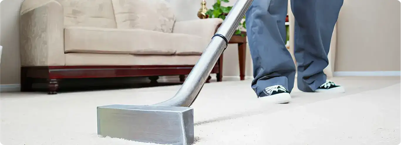 Carpet cleaning technician using a hot-water extraction wand on a light-colored carpet in a living room, Tampa, FL.