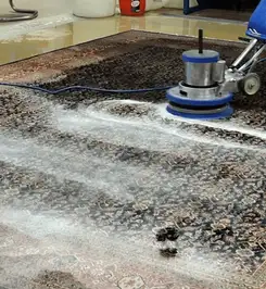 Professional rug cleaning with a rotary floor machine and shampoo foam, deep-cleaning an area rug Tampa, FL.