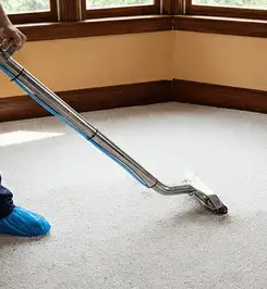 Steam carpet cleaning technician using a hot-water extraction wand on a residential carpet, wearing blue protective shoe covers Tampa, FL.